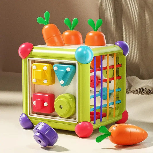 Colorful Montessori shape sorter cube with carrot tops.