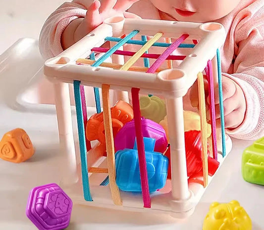 Montessori Sensory Development Toys